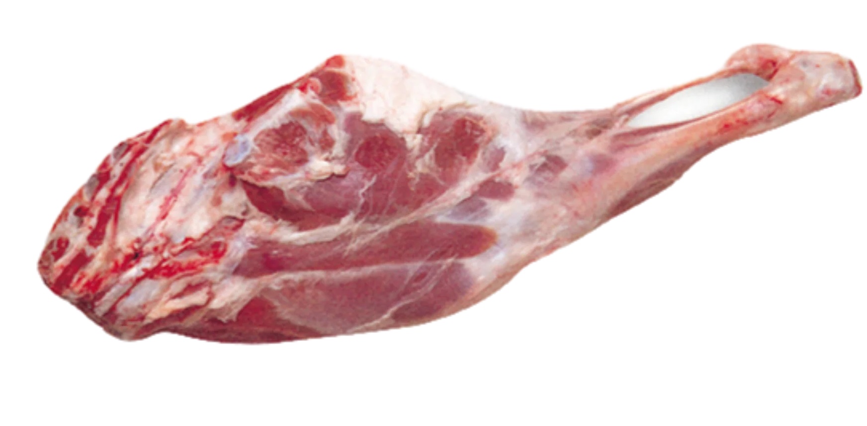 Goat Leg - image 1